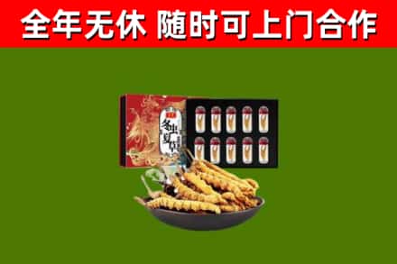 宿迁烟酒回收冬虫夏草礼盒.jpg