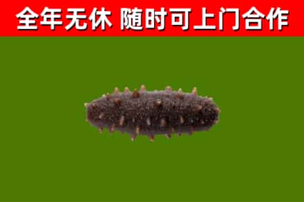 宿迁烟酒回收干海参.jpg